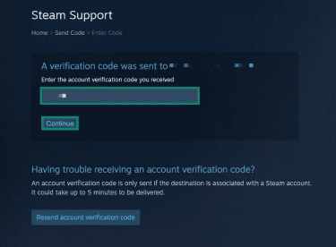 A Steam Support page. The field for entering an account verification code and the "Continue" button are highlighted.