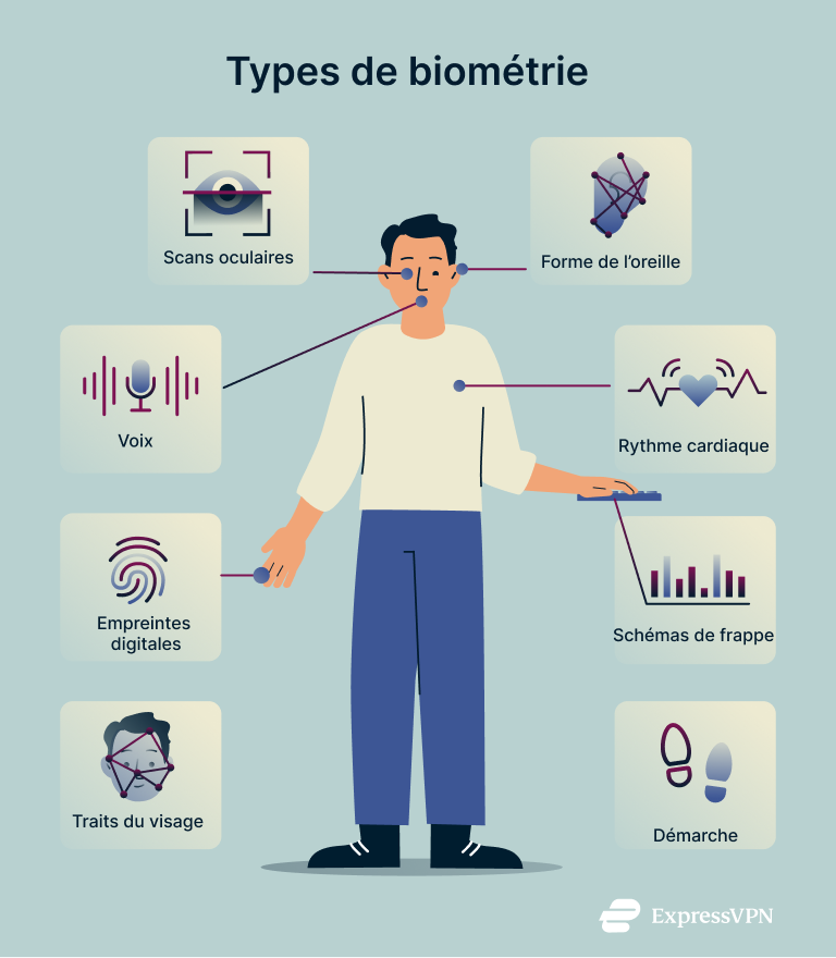 What Is Biometrics Types Of Biometrics 2 1