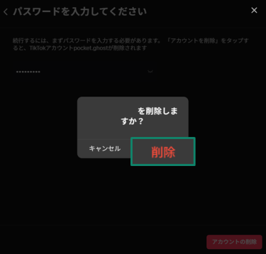 How To Delete Your Tiktok Account Permanently Ja 19