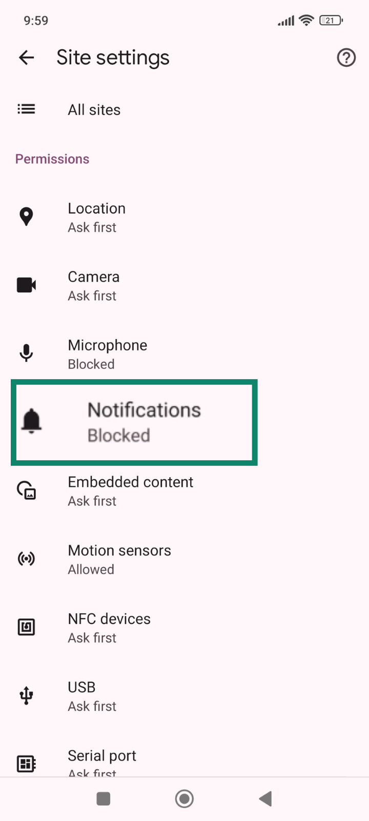 Chrome settings showing Notifications option.