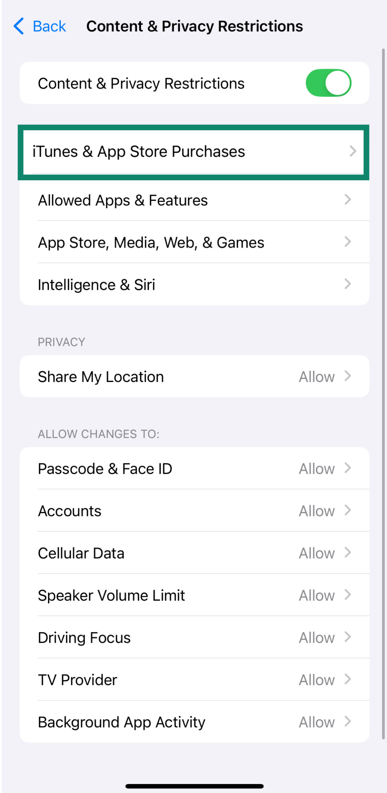 iOS screen showing iTunes & App Store Purchases option.