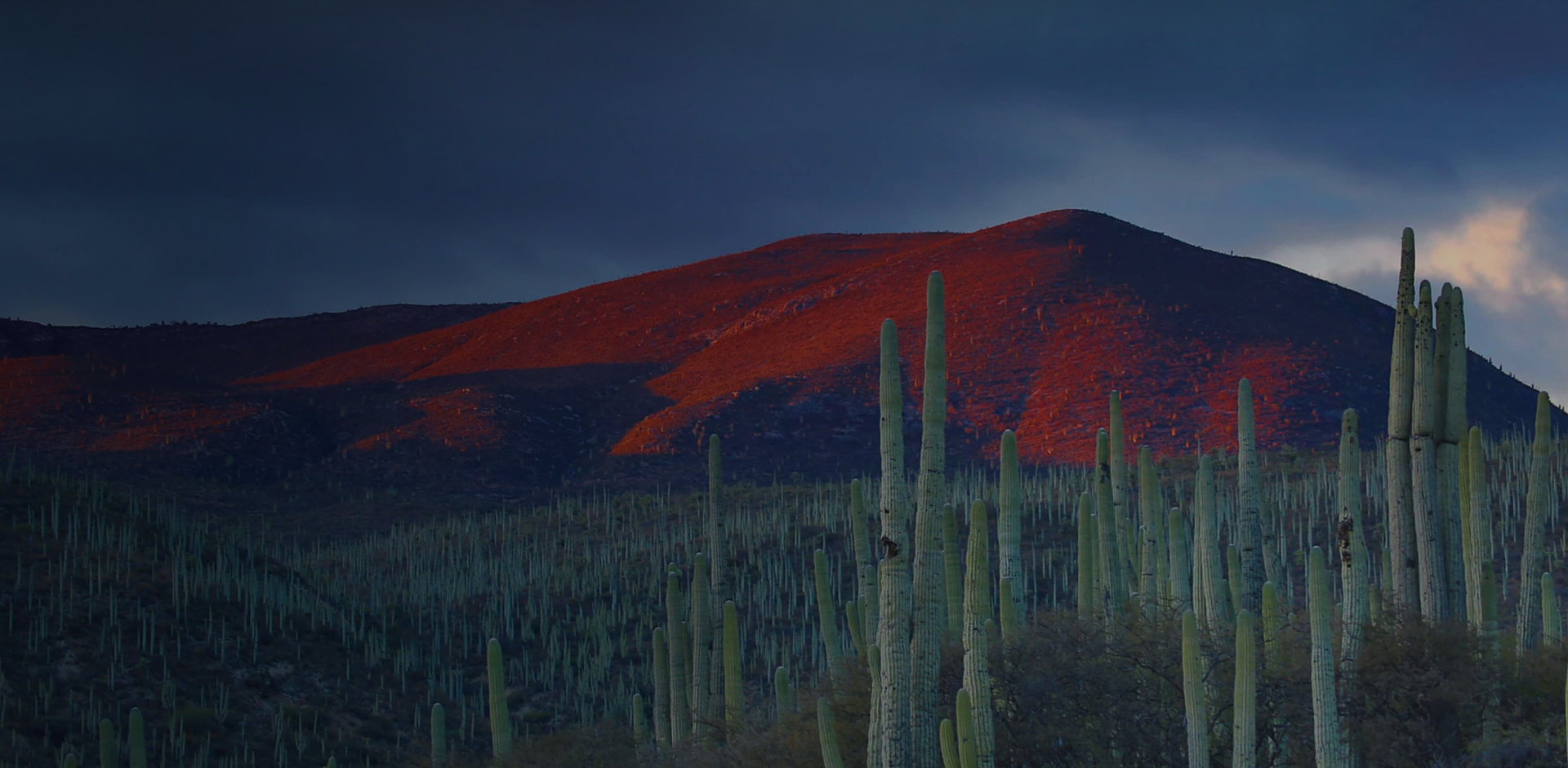 Mexico Ip Address Desktop