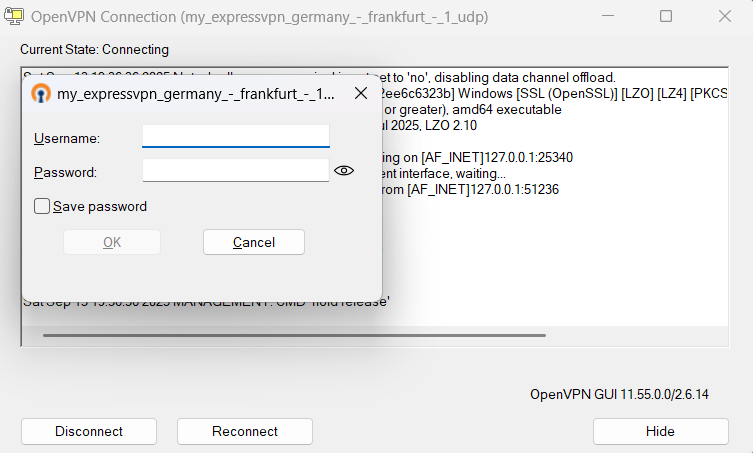 Entering manual configuration credentials to establish an OpenVPN connection.