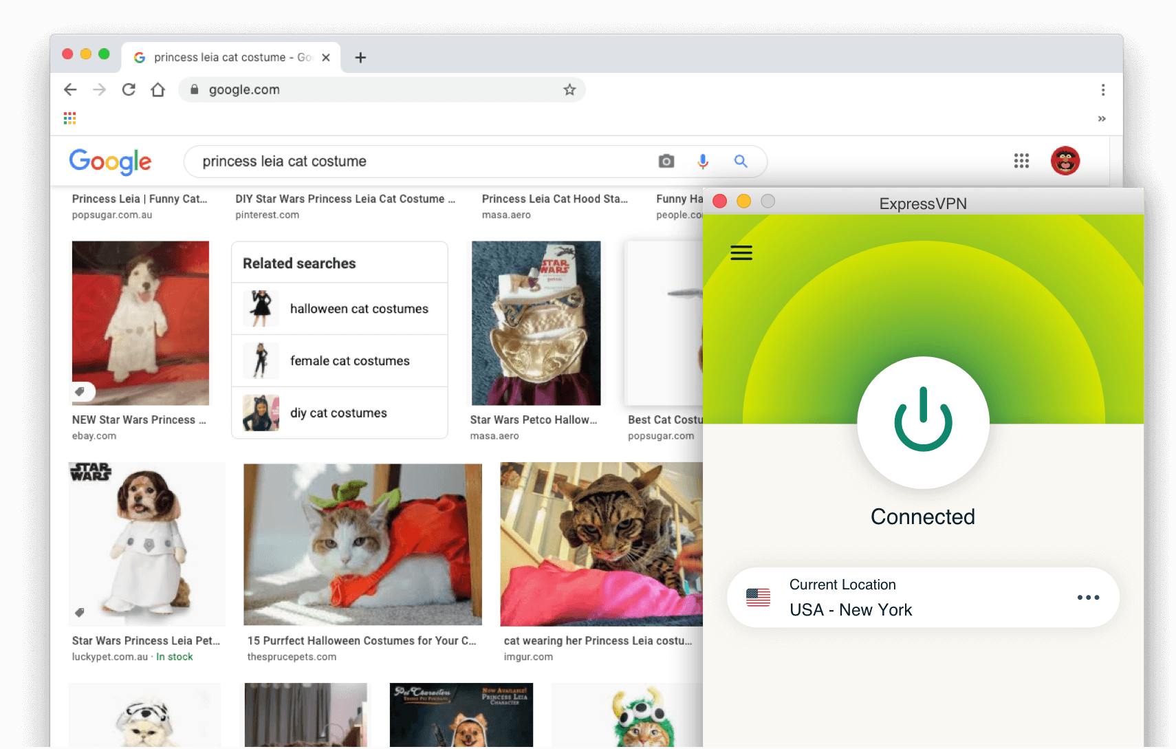 Google search results: Princess Leia cat costume with ExpressVPN turned on.