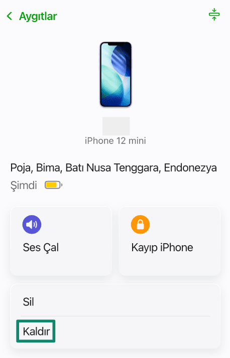 Device details page in Find Devices showing the Erase and Remove options.