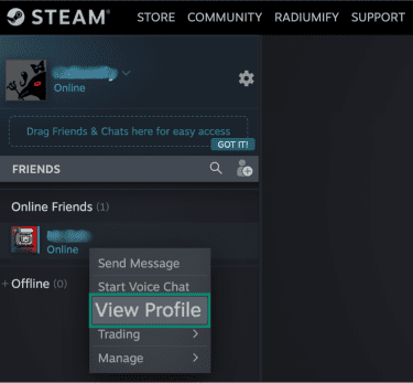 Steam chat menu showing the View Profile option for a profile.