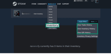 How to check inventory, trade, and gift history on Steam.