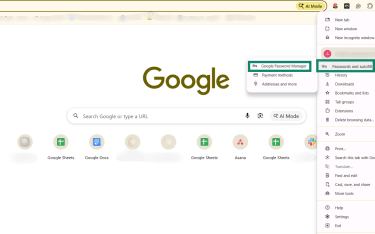 Google Password Manager in Passwords and autofill.