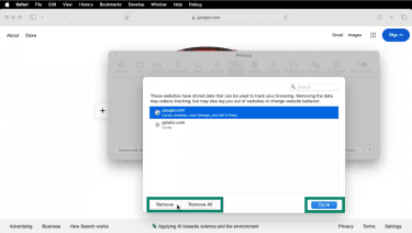 Safari Website Data options with one website selected and Remove and Remove All options highlighted