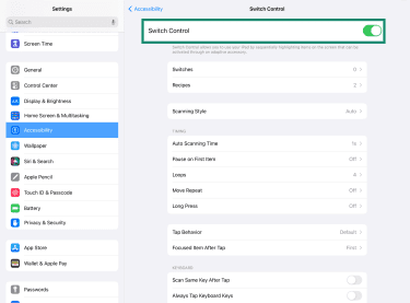 Enabled Switch Control feature under iPad Settings' Accessibility tab.