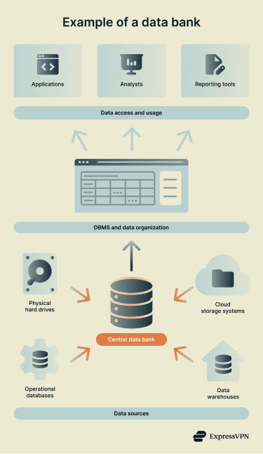 Infographic titled “Example of a data bank” showing data sources, central database, DBMS layer, and applications access flow.